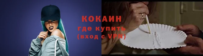 индика Волосово