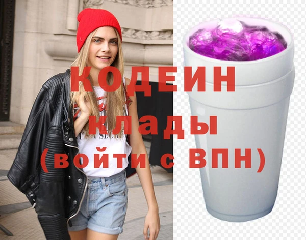 индика Волосово