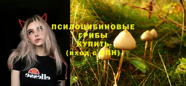 гашик Володарск