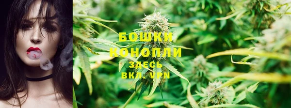 индика Волосово