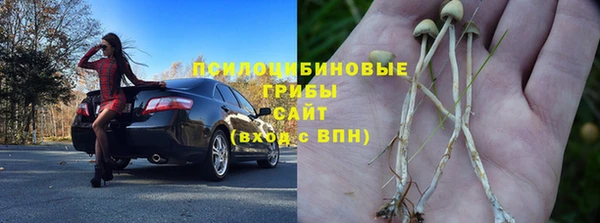 ПСИЛОЦИБИНОВЫЕ ГРИБЫ Волоколамск